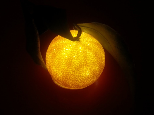 Un photophore clmentine avec une bougie LED